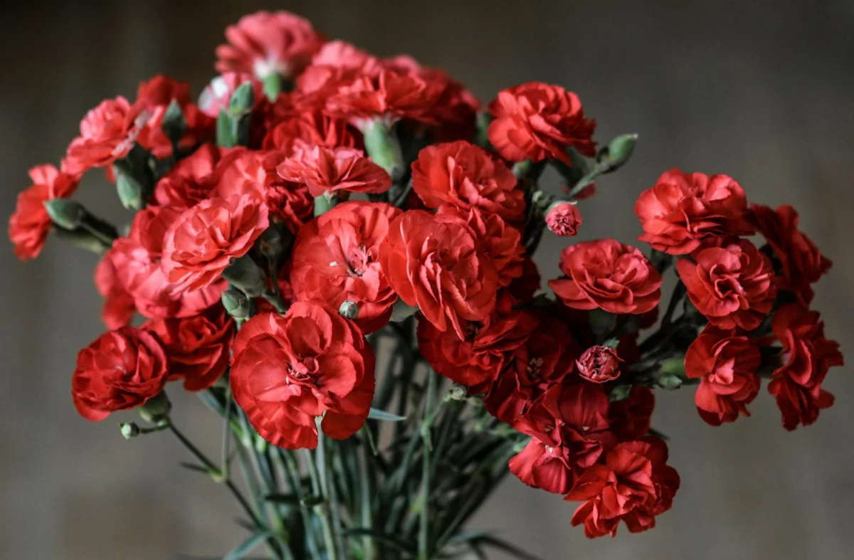 Kwiaty na Dzień Kobiet - róże, tulipany, a może słodkie prezenty?