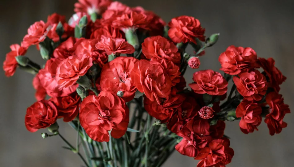 Kwiaty na Dzień Kobiet - róże, tulipany, a może słodkie prezenty? - zdjęcie 1