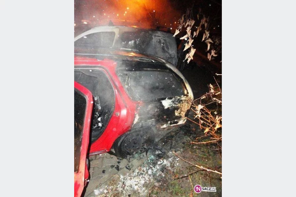 Pożar na parkingu - z dymem poszło 30 tys. zł - zdjęcie 2