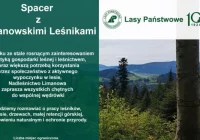 Leśnicy zapraszają na spacer - zdjęcie główne