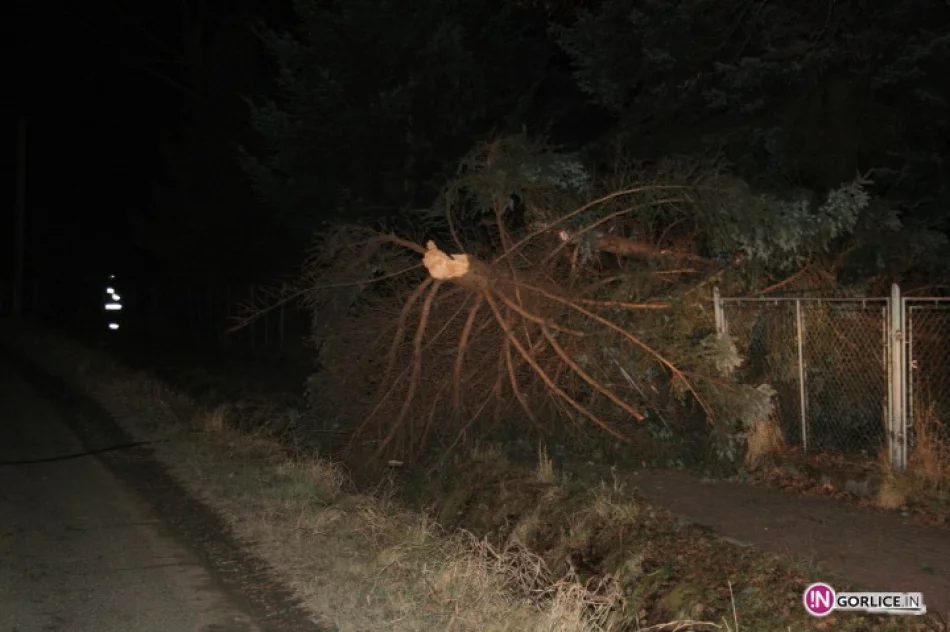 Powalone drzewo uszkodziło linię w Libuszy - zdjęcie 2