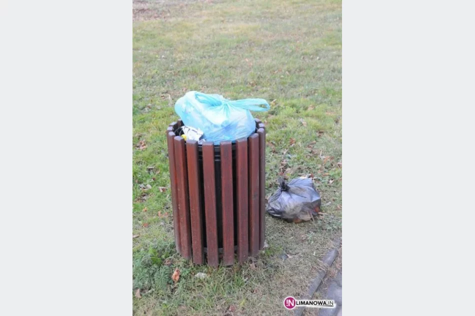 Pełne uliczne kosze - burmistrz apeluje - zdjęcie 3