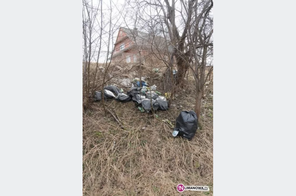 Pełne uliczne kosze - burmistrz apeluje - zdjęcie 4