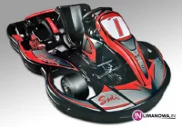 IPA Limanowa najlepsza w kartingach - zdjęcie główne