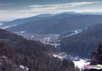Złożyli wniosek o referendum - zdjęcie główne