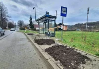 Niby miasto, ale wokół jak na wsi. Chodnik z... obornika (ZDJĘCIA) - zdjęcie główne