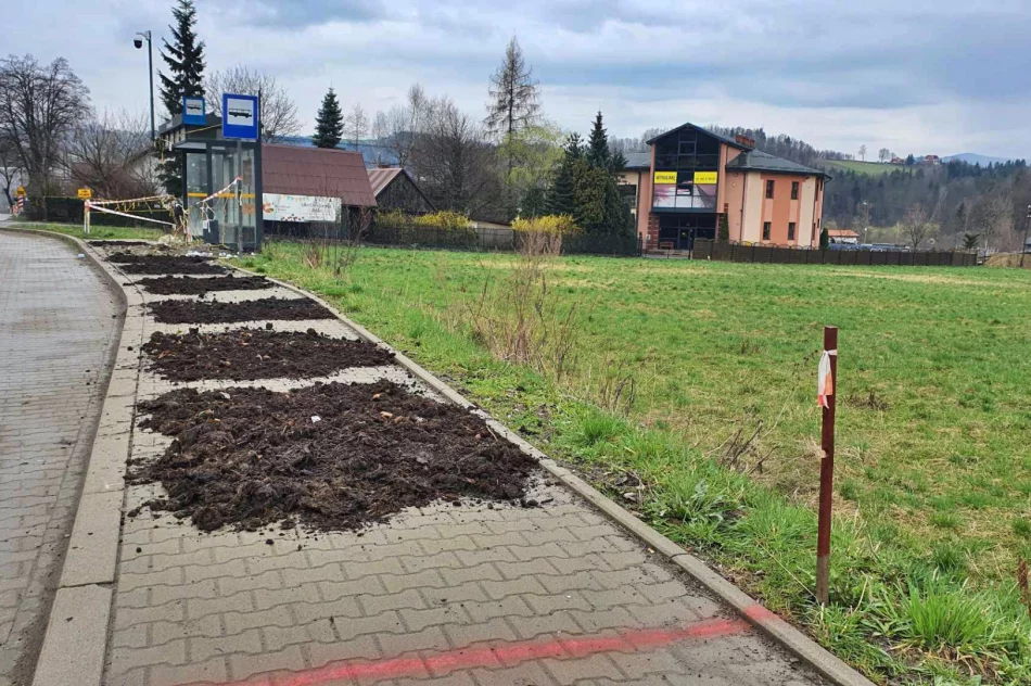 Niby miasto, ale wokół jak na wsi. Chodnik z... obornika (ZDJĘCIA) - zdjęcie 2
