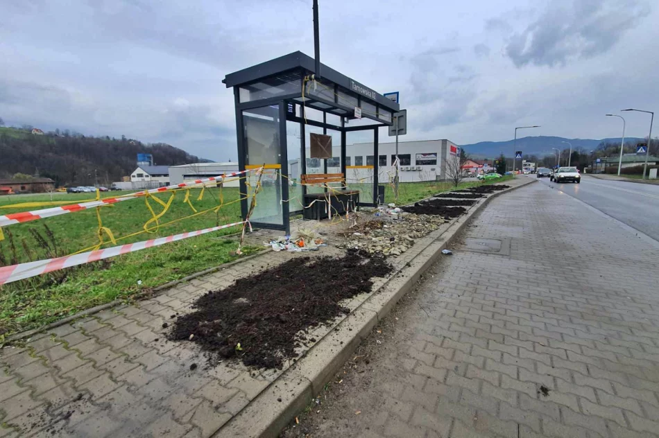 Niby miasto, ale wokół jak na wsi. Chodnik z... obornika (ZDJĘCIA) - zdjęcie 3
