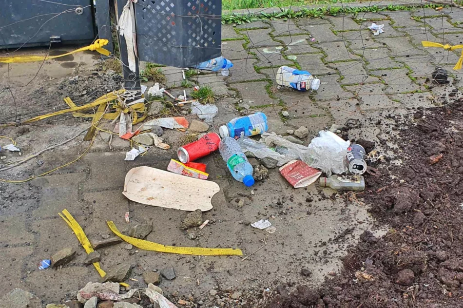 Niby miasto, ale wokół jak na wsi. Chodnik z... obornika (ZDJĘCIA) - zdjęcie 4