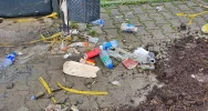 Niby miasto, ale wokół jak na wsi. Chodnik z... obornika (ZDJĘCIA) - zdjęcie 4