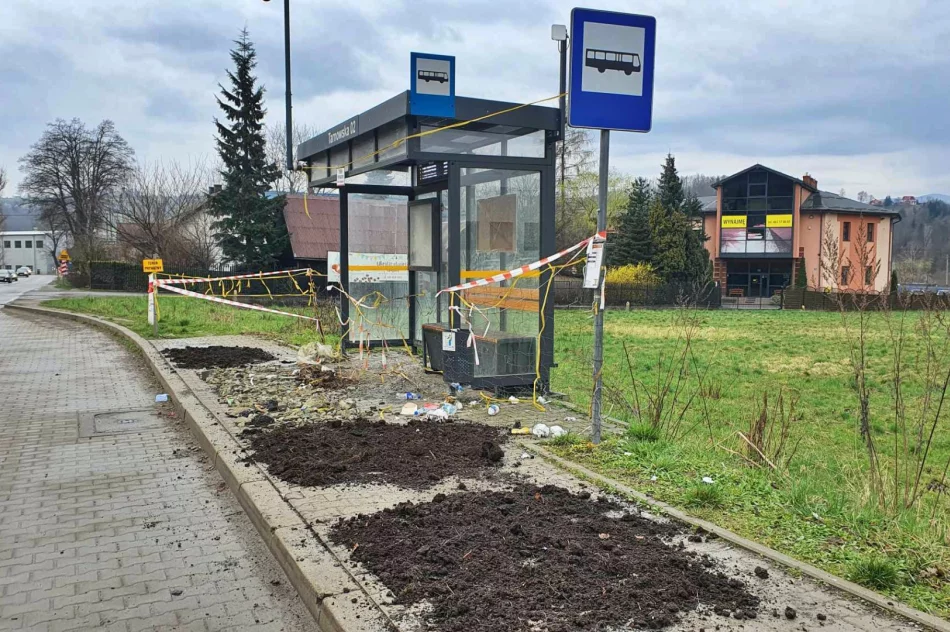 Niby miasto, ale wokół jak na wsi. Chodnik z... obornika (ZDJĘCIA) - zdjęcie 6