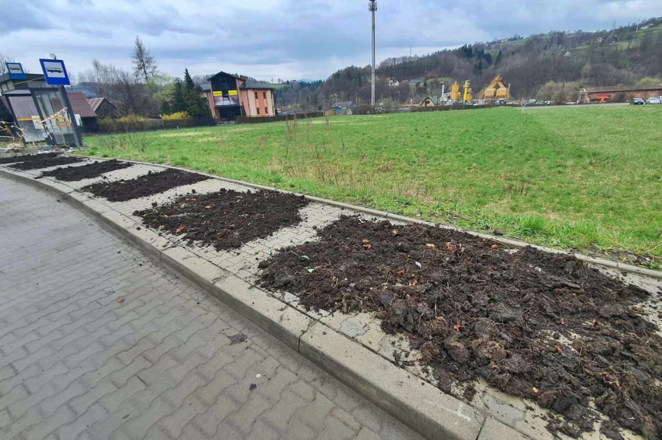Niby miasto, ale wokół jak na wsi. Chodnik z... obornika (ZDJĘCIA) - zdjęcie 15