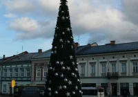 Już jest - choinka na sądeckim Rynku! - zdjęcie główne