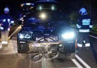 Więcej zdarzeń z udziałem dzikich zwierząt na drogach powiatu - zdjęcie główne
