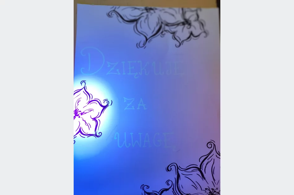 "Dziwy Fizyki i Chemii" w Laskowej - zdjęcie 2