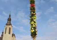20-metrowa Palma Wielkanocna stanęła na limanowskim rynku - zdjęcie główne