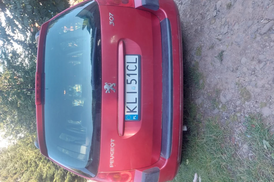 Peugeot 307 kombi - zdjęcie 1