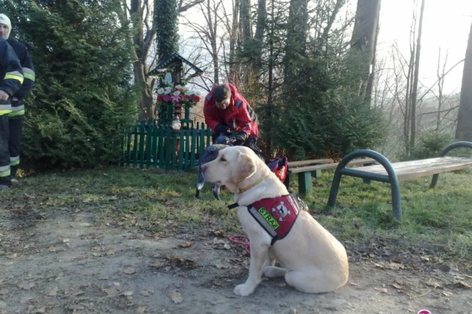 Zaginął 56-letni mężczyzna - zdjęcie 2