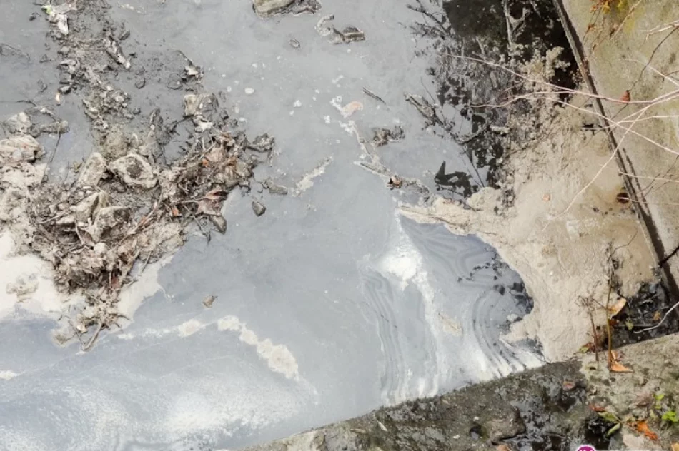 Ścieki do rzeki w centrum miasta - zdjęcie 3