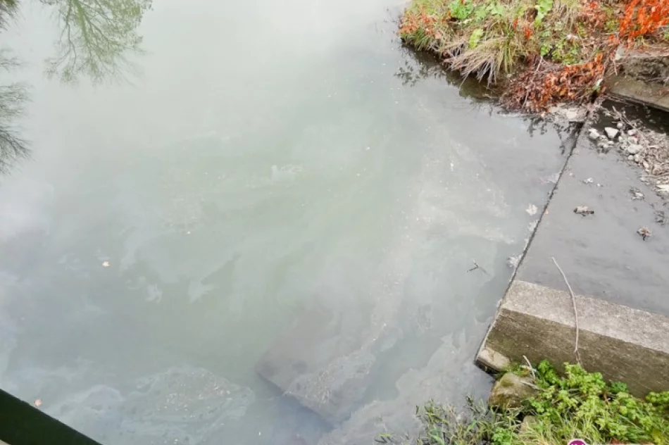 Ścieki do rzeki w centrum miasta - zdjęcie 4