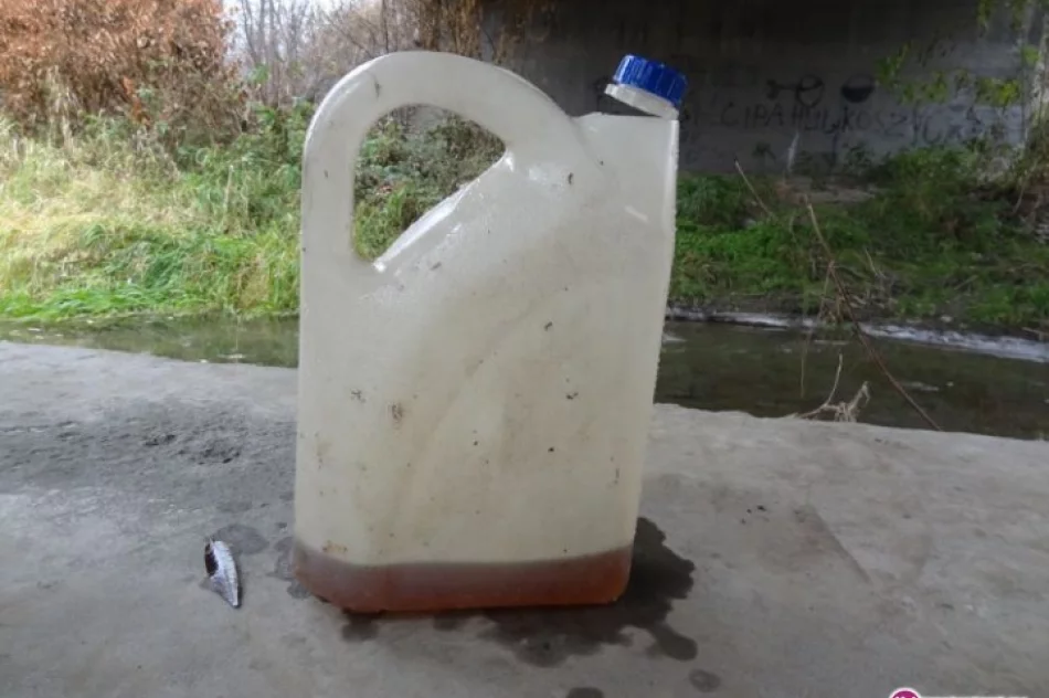 Ktoś chciał olejem otruć bobry? - zdjęcie 3