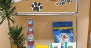 Uczniowie wsparli schronisko - zdjęcie 2