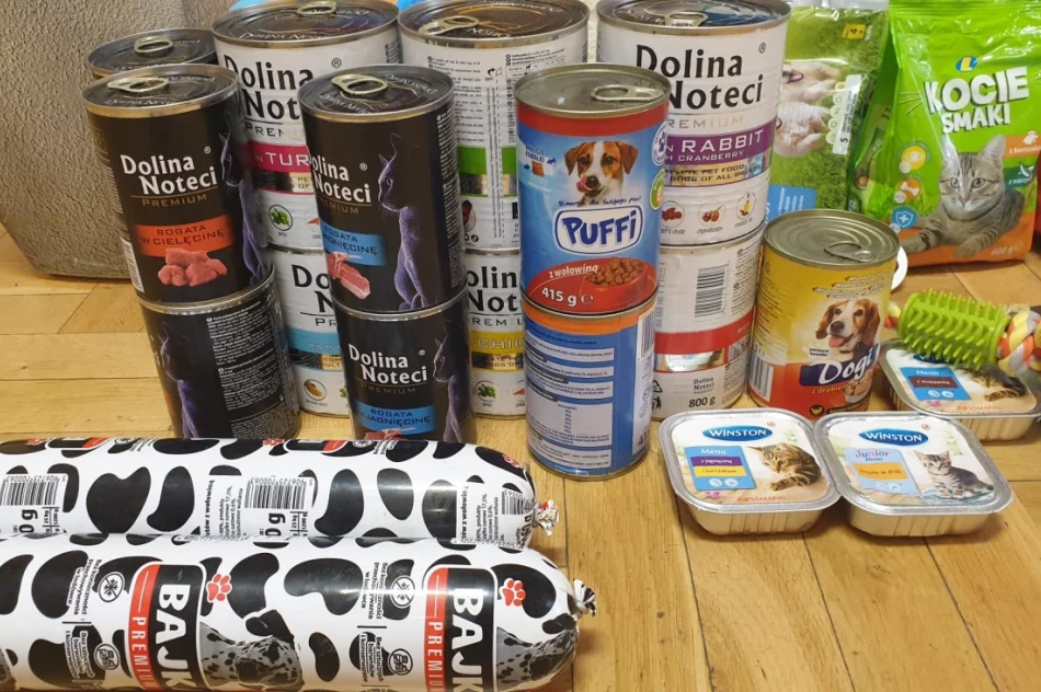 Uczniowie wsparli schronisko - zdjęcie 5
