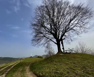 Felieton: Trudna miłość z przeszkodami - zdjęcie główne