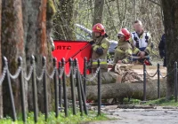 Ofiarami 44-latka i 6-letnie dziecko. Gmina ogłosiła żałobę - zdjęcie główne