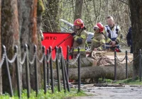 Wojewoda: Ostrzegaliśmy przed silnym wiatrem - zdjęcie główne