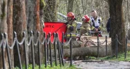 Lokalna społeczność w żałobie - zdjęcie 4