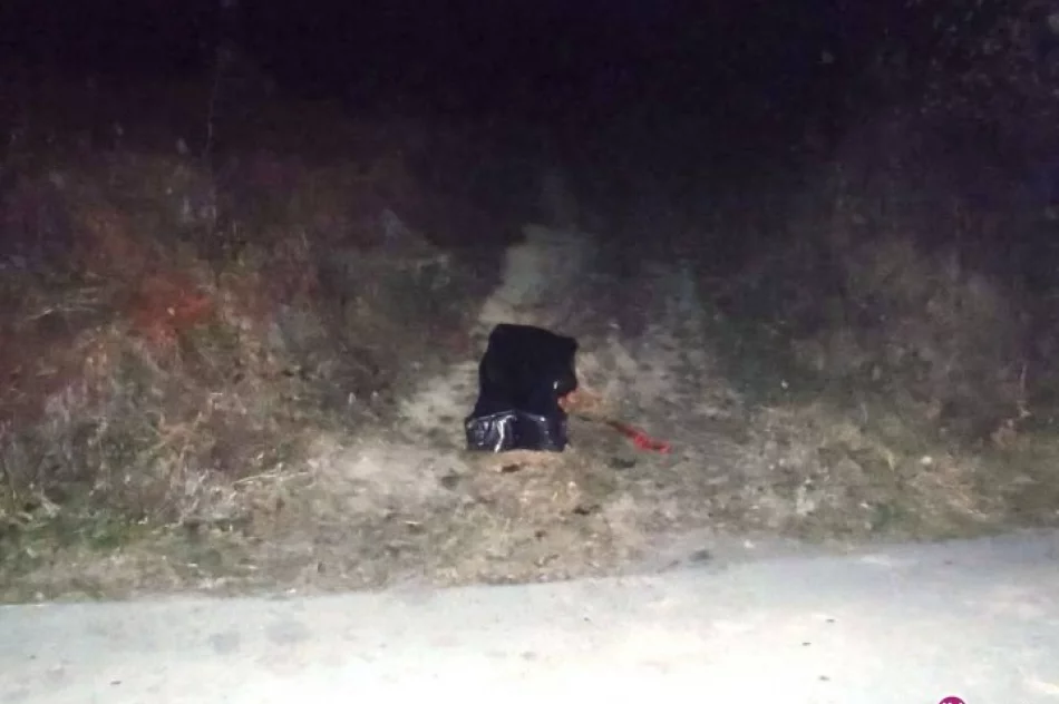 Wypadek śmiertelny: ciągnik przygniótł traktorzystę - zdjęcie 3