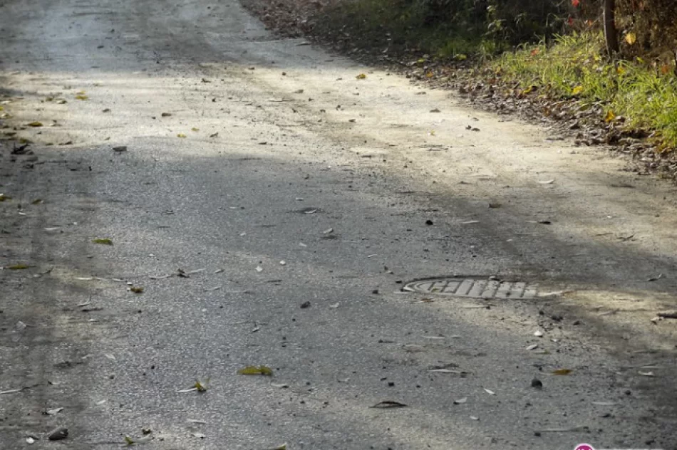 Rozjeżdżają drogę bez zgody miasta? - zdjęcie 4