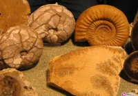 Rozdajemy zaproszenia na wystawę minerałów! - zdjęcie główne