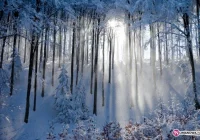 Przygotowania do zimy - zdjęcie główne