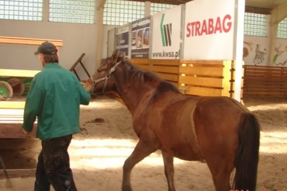 Więźniowie wolontariuszami w hospicjum - zdjęcie 2