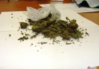 Miała w mieszkaniu 32,18 grama marihuany - zdjęcie główne