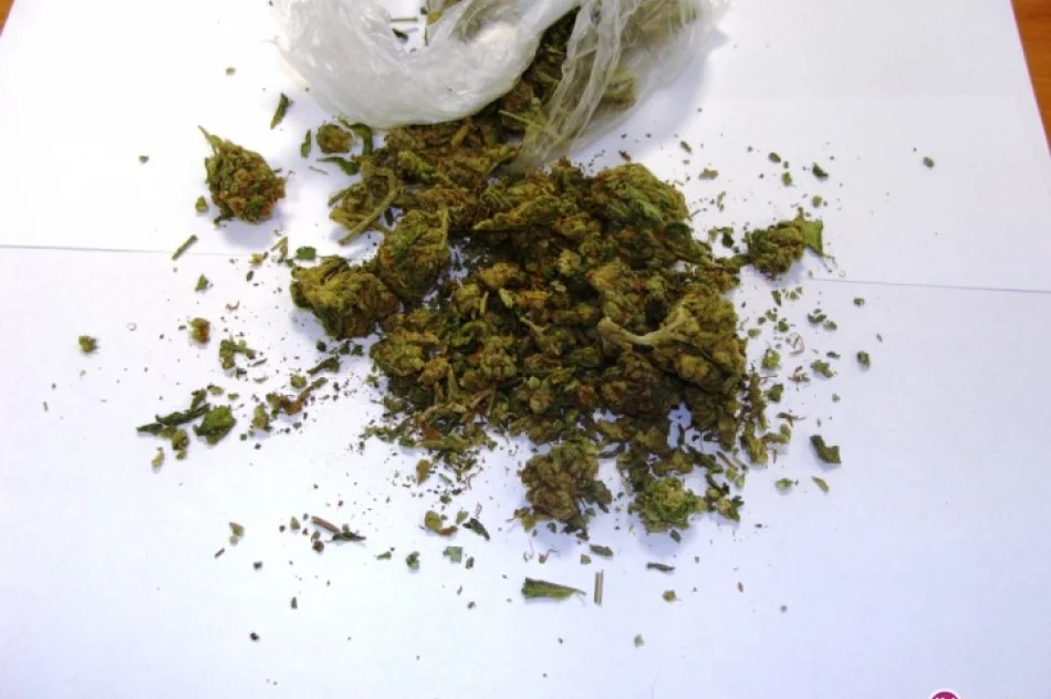 Miała w mieszkaniu 32,18 grama marihuany - zdjęcie 2