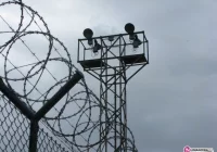 3 miesiące aresztu dla 60-latka - zdjęcie główne