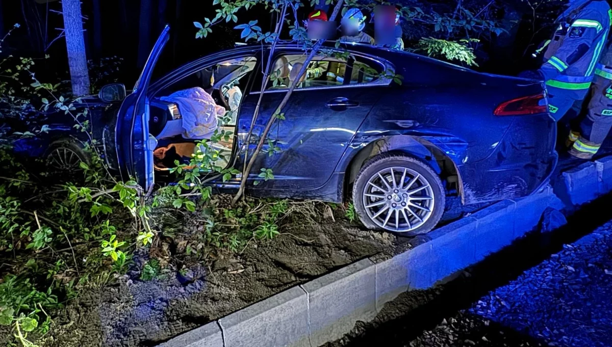 Jaguar uderzył w drzewo, kierowca pod wpływem alkoholu/fot.: KPP Limanowa