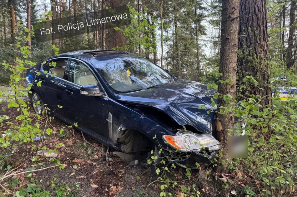 Jaguar uderzył w drzewo, kierowca pod wpływem alkoholu - zdjęcie 2