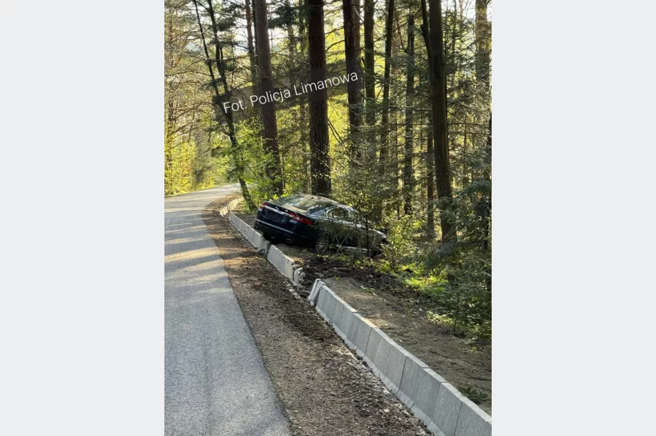 Jaguar uderzył w drzewo, kierowca pod wpływem alkoholu - zdjęcie 3
