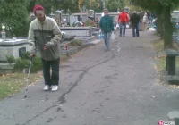 Żebrzą, a straż miejska nie reaguje - zdjęcie główne