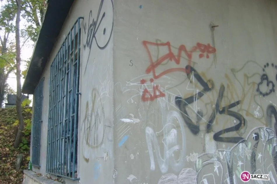 Miejska melina w sąsiedztwie cmentarza - zdjęcie 2