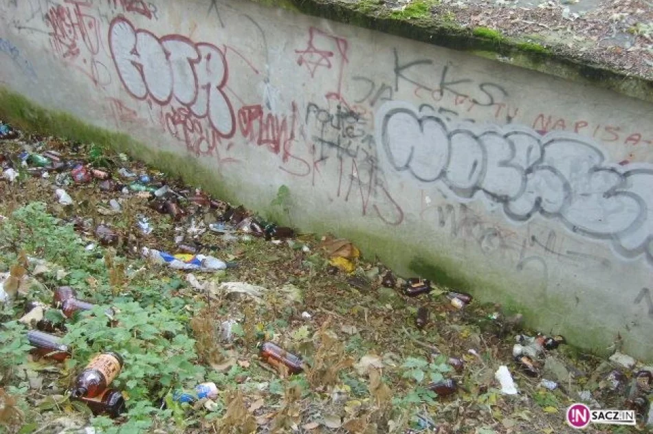 Miejska melina w sąsiedztwie cmentarza - zdjęcie 3