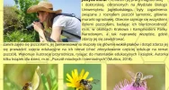 Zaproszenie na otwarcie wystawy Justyny Kierat pt.: „Dzikie pszczoły" - zdjęcie 2