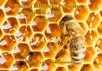 Zaproszenie na otwarcie wystawy Justyny Kierat pt.: „Dzikie pszczoły" - zdjęcie główne