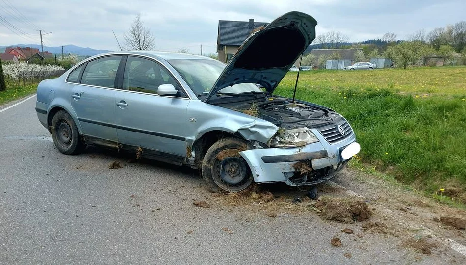 Samochód wypadł z drogi i wjechał do rowu - zdjęcie 1