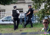 Damian Rz. mordując był poczytalny? - zdjęcie główne