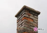 Szukają tego, co smrodzi - zdjęcie główne